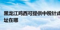 黑龍江雞西可提供中稅針式打印機維修服務地址在哪