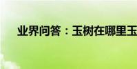 業界問答:玉樹在哪里玉樹在什么地方