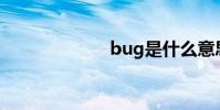 bug是什么意思?