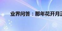 業界問答:那年花開月正圓劇情簡介