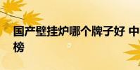 國產壁掛爐哪個牌子好 中國壁掛爐十大排名榜