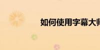 如何使用字幕大師教程
