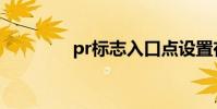 pr標志入口點設置在哪里?
