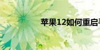 蘋果12如何重啟手機?
