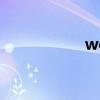 word的格式是什么？