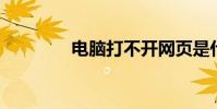 電腦打不開網頁是什么原因