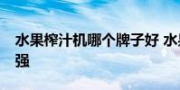 水果榨汁機哪個牌子好 水果榨汁機排行榜10強