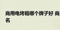 商用電烤箱哪個牌子好 商用電烤箱排名前十名