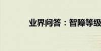業界問答:智障等級怎么劃分