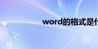 word的格式是什么?