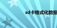 sd卡格式化數據恢復