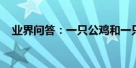 業界問答:一只公雞和一只母雞猜三個字