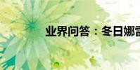 業界問答:冬日娜雷人語錄