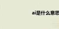 ai是什么意思?