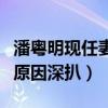 潘粵明現任妻子是誰（和前妻董潔離婚是什么原因深扒）