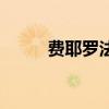 費耶羅法拉利 費耶羅為什么好用 