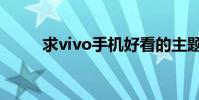 求vivo手機好看的主題(求vivo)