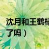 沈月和王鶴棣到底什么關系（兩人真的在一起了嗎）