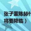 張子萱陳赫什么時候在一起（網曝二人的二胎將要降臨）