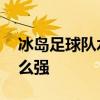 冰島足球隊水平怎么樣 冰島足球隊為什么這么強 