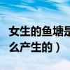 女生的魚塘是什么意思（海王和魚塘的梗是怎么產生的）