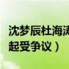 沈夢辰杜海濤綜藝節目叫什么（兩人當初在一起受爭議）