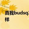 真我budsq2怎么樣 真我BudsQ2s續航怎么樣 