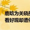 鹿晗為關曉彤慶生（持續3年深夜狗糧不被人看好現卻遭催婚）
