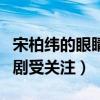 宋柏緯的眼睛怎么了（早期因為出演男男戀網劇受關注）