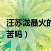 汪蘇瀧最火的歌是什么（青春的聲音原來那么苦嗎）