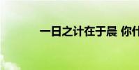 一日之計在于晨 你什么意思?