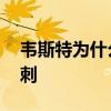 韋斯特為什么離開湖人 韋斯特為什么離開馬刺 