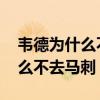 韋德為什么不能把胡子弄到頭發上 韋德為什么不去馬刺 