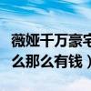 薇婭千萬豪宅曝光（薇婭一年收入有多少為什么那么有錢）