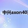 中興axon40系列官宣 中興Axon40多少錢 