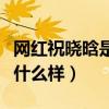 網紅祝曉晗是真父女嗎（祝曉晗的媽媽到底長什么樣）
