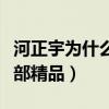 河正宇為什么不結婚（他是高產影片的男星部部精品）