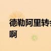 德勒阿里轉會 雷內  阿德勒 為什么轉會漢堡啊 
