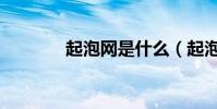 起泡網是什么(起泡網介紹)