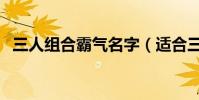 三人組合霸氣名字(適合三人組合的網名)