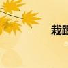 栽跟頭的意思（栽跟頭）
