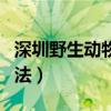深圳野生動物園攻略（深圳野生動物園游玩方法）