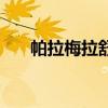 帕拉梅拉舒適性怎么樣（車知識園地）