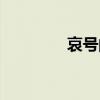哀號的拼音（哀號的意思）