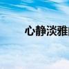 心靜淡雅的詩句（描寫靜心的詩句）