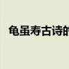 龜雖壽古詩的意思（龜雖壽古詩原文賞析）