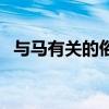 與馬有關的俗語（和馬有關的俗語有哪些）