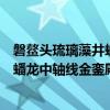 磐鰲頭琉璃藻井蟠龍中軸線金鑾殿的意思（磐鰲頭琉璃藻井蟠龍中軸線金鑾殿是什么意思）