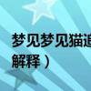 夢見夢見貓追我什么意思（夢見夢見貓追我的解釋）