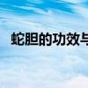 蛇膽的功效與作用（三種毒蛇膽主要特征）